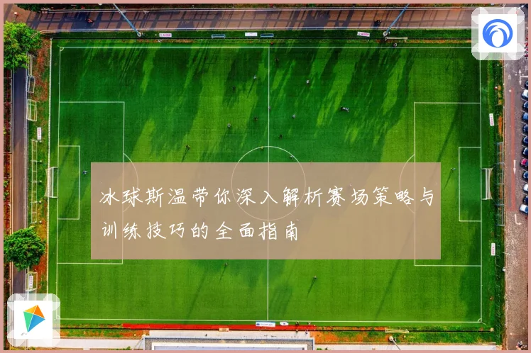 冰球斯温带你深入解析赛场策略与训练技巧的全面指南