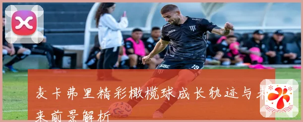 麦卡弗里精彩橄榄球成长轨迹与未来前景解析