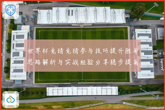 世界杯竞猜竞猜参与技巧提升胜率思路解析与实战经验分享稳步提高数据研判